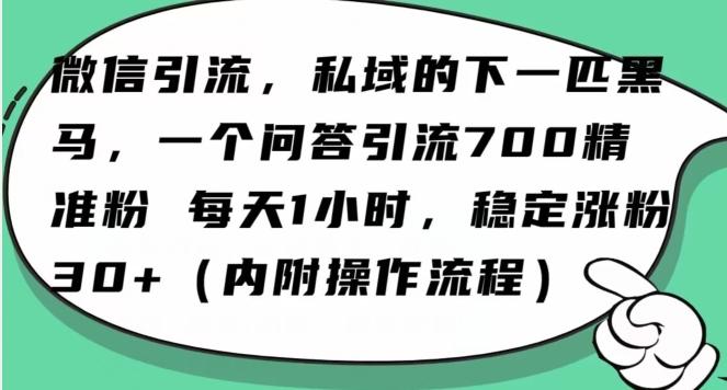 怎么搞精准创业粉?微信新赛道,每天一小时,利用Ai一个问答日引100精准粉-俗人圈网创