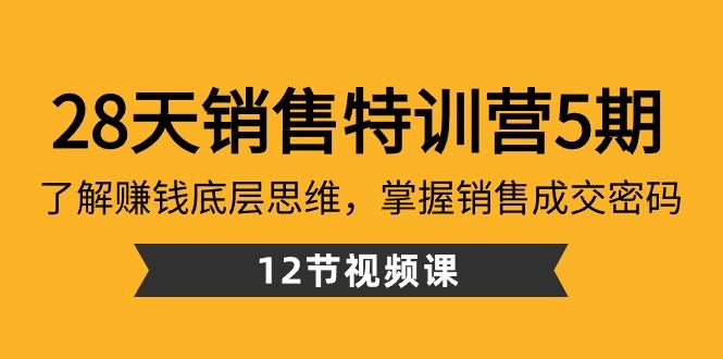 28天销售特训营5期：了解赚钱底层思维，掌握销售成交密码（12节课）-俗人圈网创