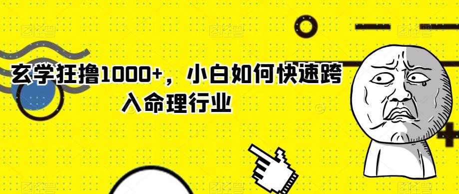 玄学狂撸1000+，小白如何快速跨入命理行业-俗人圈网创