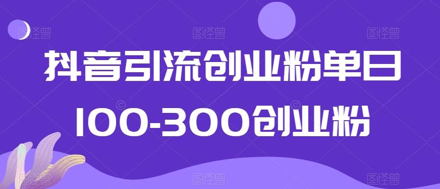 抖音引流创业粉单日100-300创业粉【揭秘】-俗人圈网创