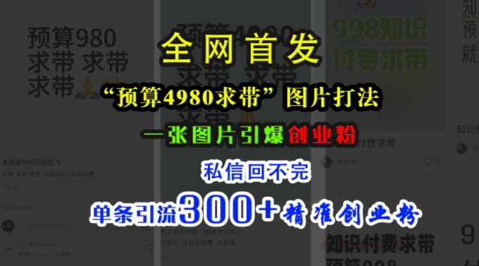 小红书“预算4980带我飞”图片打法,一张图片引爆创业粉,私信回不完,单条引流300+精准创业粉-俗人圈网创
