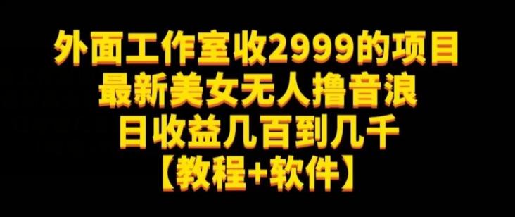 外面工作室收2999的项目最新美女无人撸音浪日收益几百到几千【教程+软件】(仅揭秘)-俗人圈网创