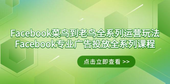 Facebook-菜鸟到老鸟全系列运营玩法+Facebook-专业广告投放全系列课程-俗人圈网创