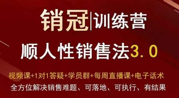爆款！销冠训练营3.0之顺人性销售法，全方位解决销售难题、可落地、可执行、有结果-俗人圈网创
