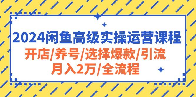 2024闲鱼高级实操运营课程:开店/养号/选择爆款/引流/月入2万/全流程-俗人圈网创