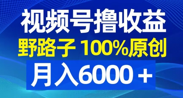 视频号野路子撸收益，100%原创，条条爆款，月入6000＋【揭秘】-俗人圈网创