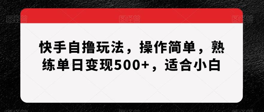 快手自撸玩法，操作简单，熟练单日变现500+，适合小白【揭秘】-俗人圈网创
