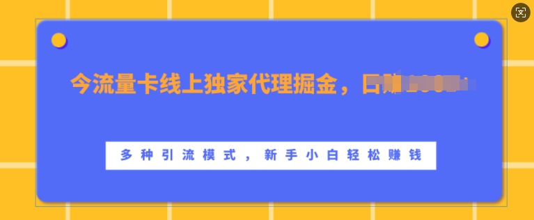 流量卡线上独家代理掘金，日入1k+ ，多种引流模式，新手小白轻松上手【揭秘】-俗人圈网创