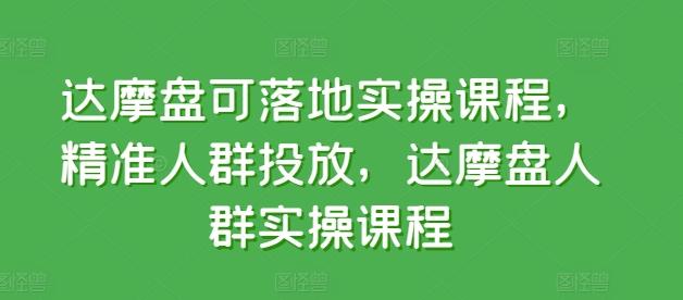 达摩盘可落地实操课程，精准人群投放，达摩盘人群实操课程-俗人圈网创