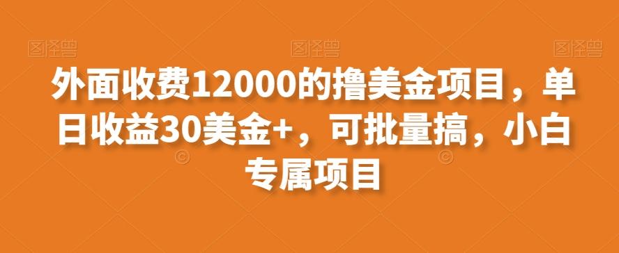 外面收费12000的撸美金项目，单日收益30美金+，可批量搞，小白专属项目-俗人圈网创