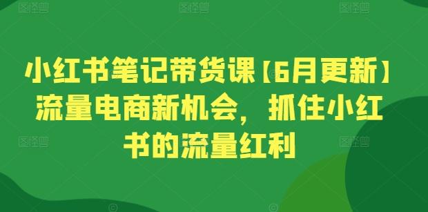 小红书笔记带货课【6月更新】流量电商新机会,抓住小红书的流量红利-俗人圈网创