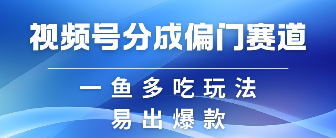 视频号创作者分成计划偏门类目，容易爆流，实拍内容简单易做【揭秘】-俗人圈网创