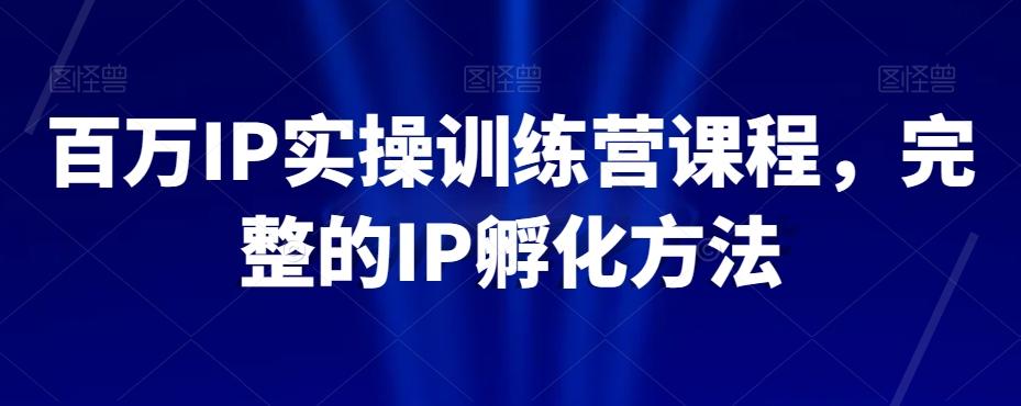 百万IP实操训练营课程，完整的IP孵化方法-俗人圈网创