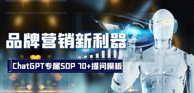 品牌营销新利器：ChatGPT专属SOP，70+提问模板【文档】-俗人圈网创