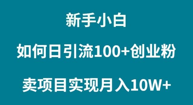 (9556期)新手小白如何通过卖项目实现月入10W+-俗人圈网创